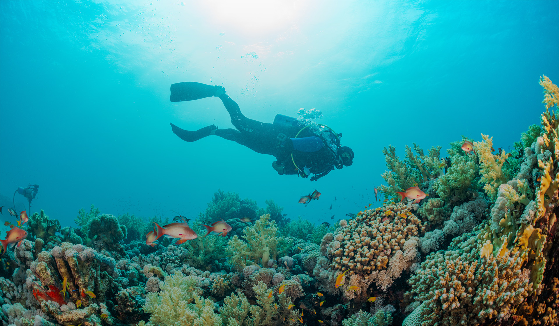 تجارب مائية وغوص تحت الماء في البحر الأحمر